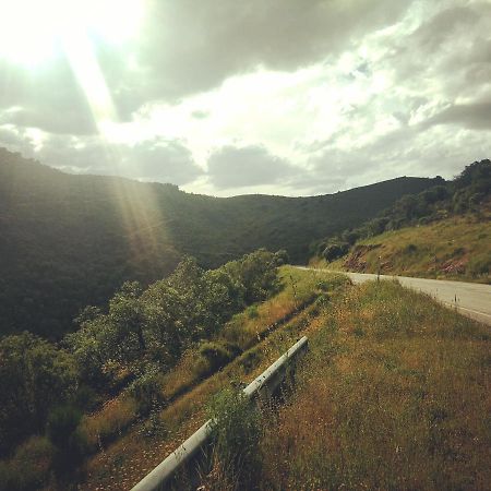 Vimioso Casa De Pimenteisヴィラ エクステリア 写真